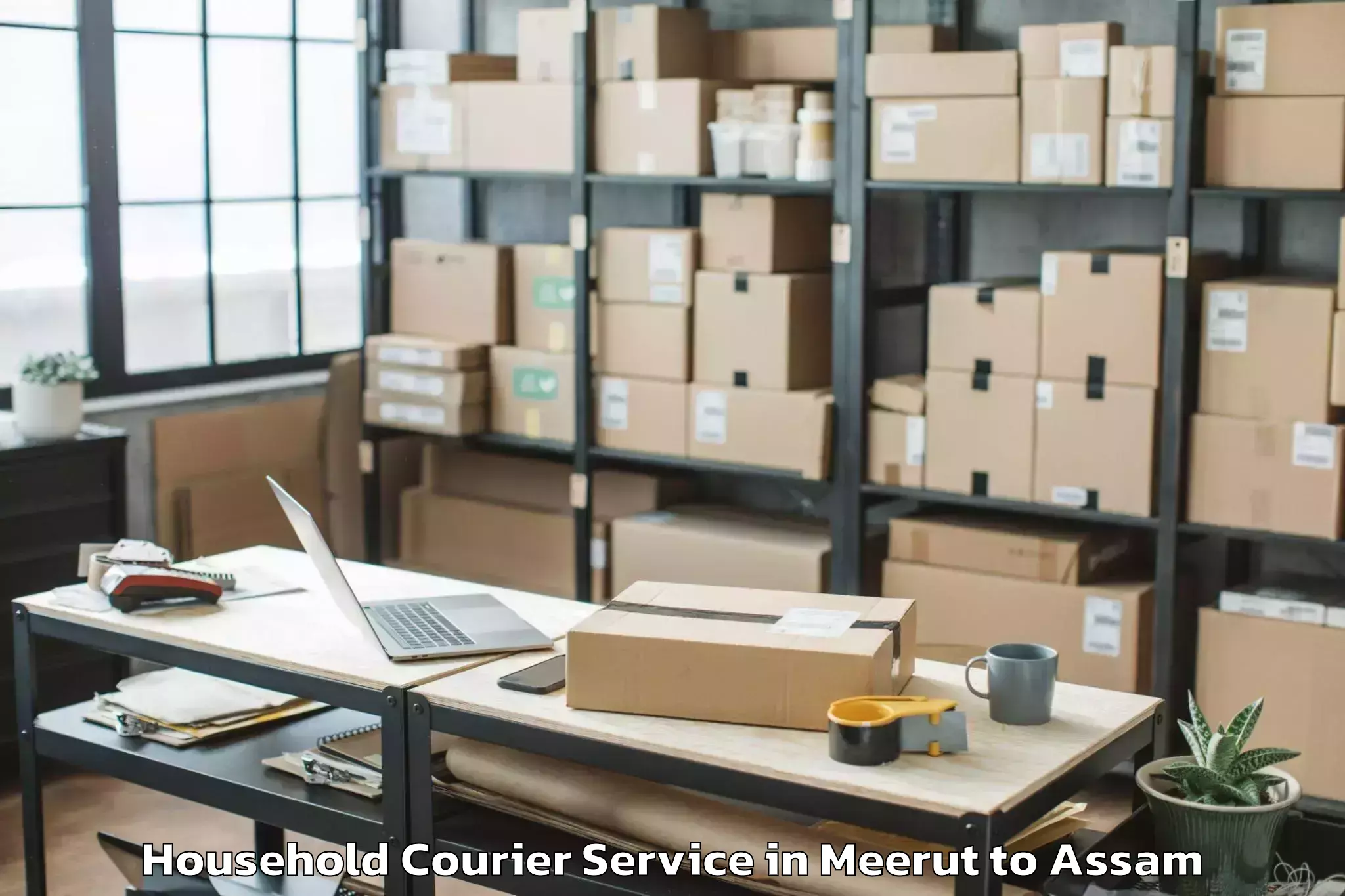 Quality Meerut to Hojai Household Courier